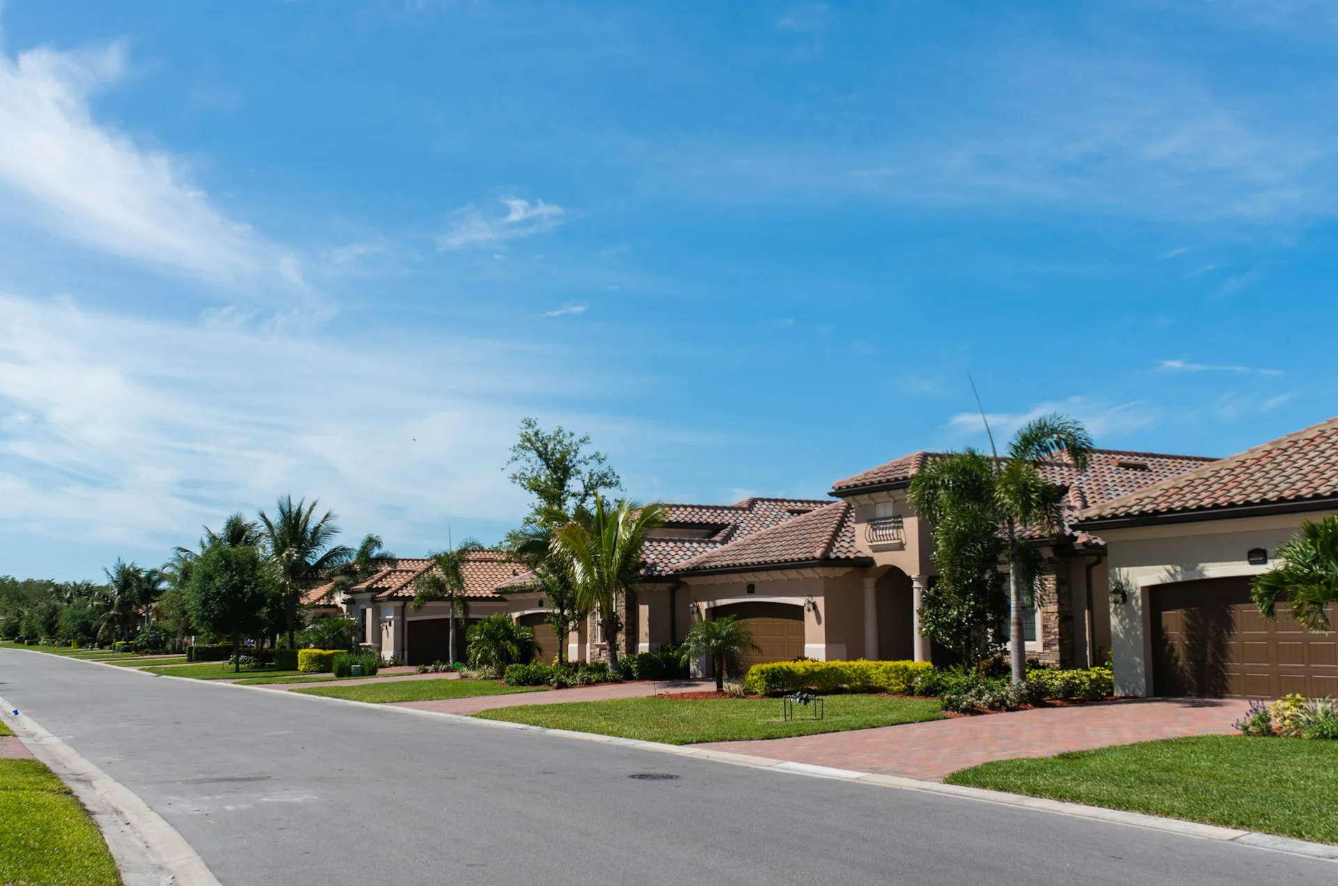 Florida residential street lined with palm trees and new homes